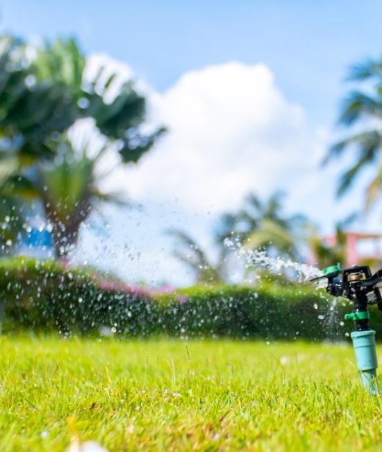 Sprinkler,For,Automatic,Lawn,Watering.,Lawn,Cultivation,And,Care,,Garden