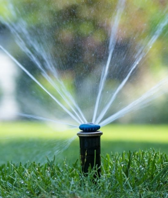 Irrigation,System,In,Home,Garden.,Automatic,Lawn,Sprinkler,Watering,Green