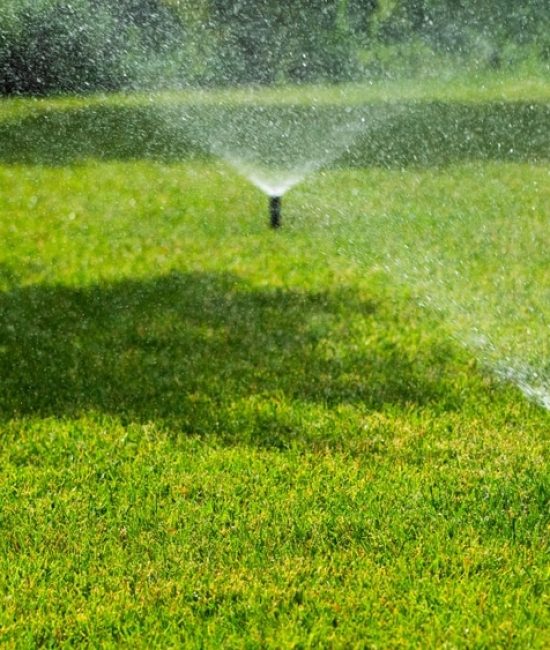 Sprinkler,System,Spraying,Water,Over,A,Lush,Green,Lawn,On